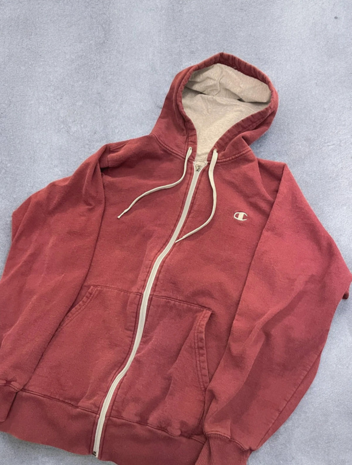 Champion Hoodie (L)
