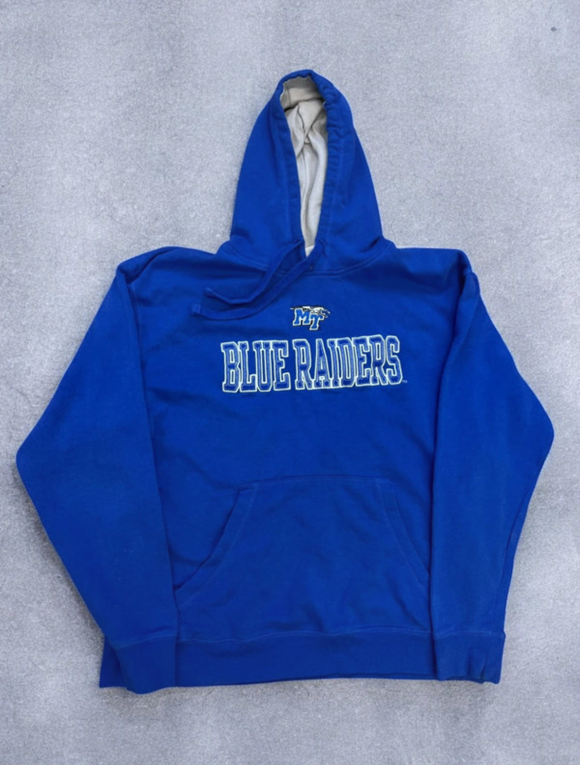 Champion Hoodie (L)